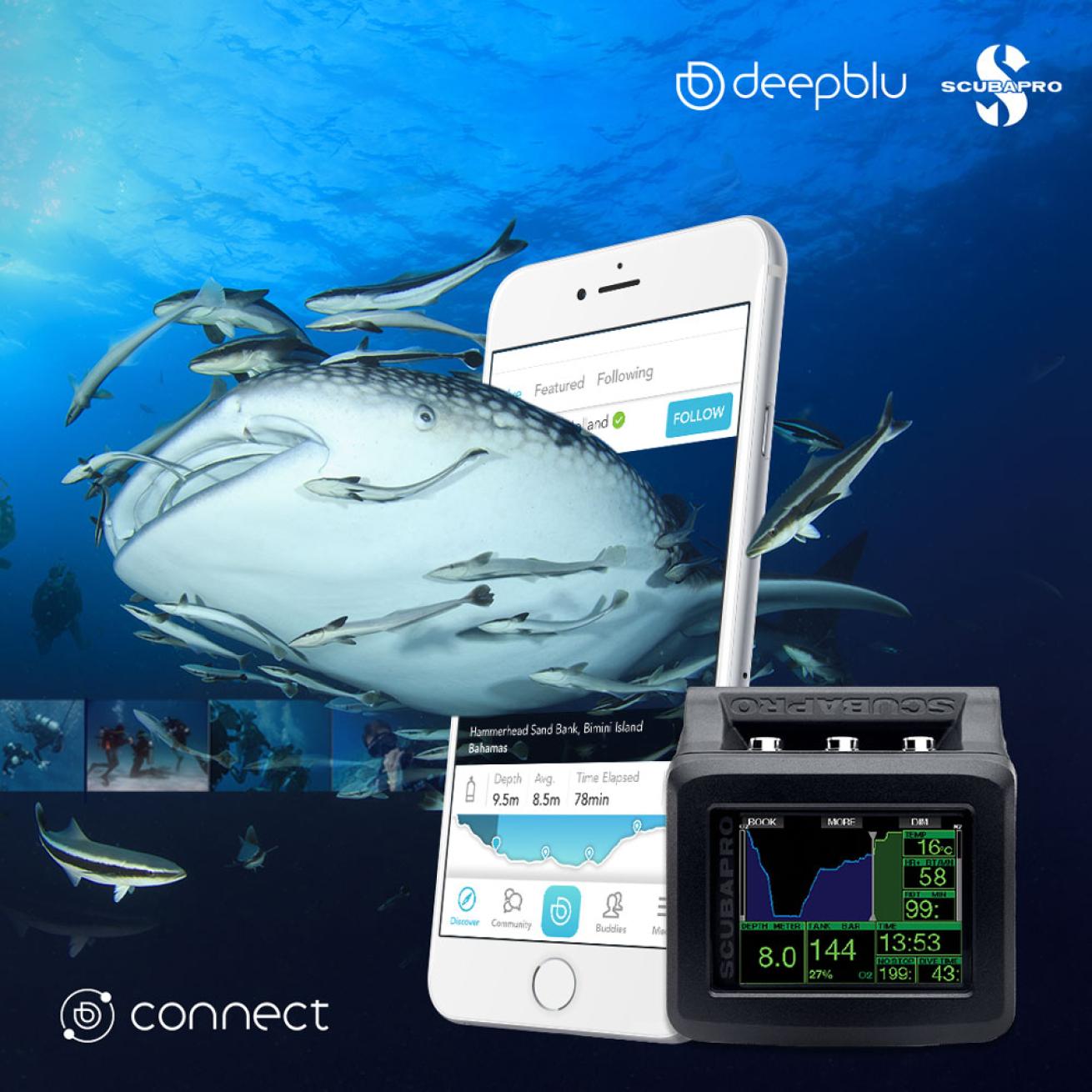 deepblu app