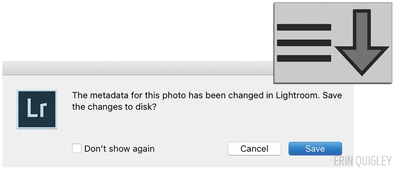 lightroom tutorial
