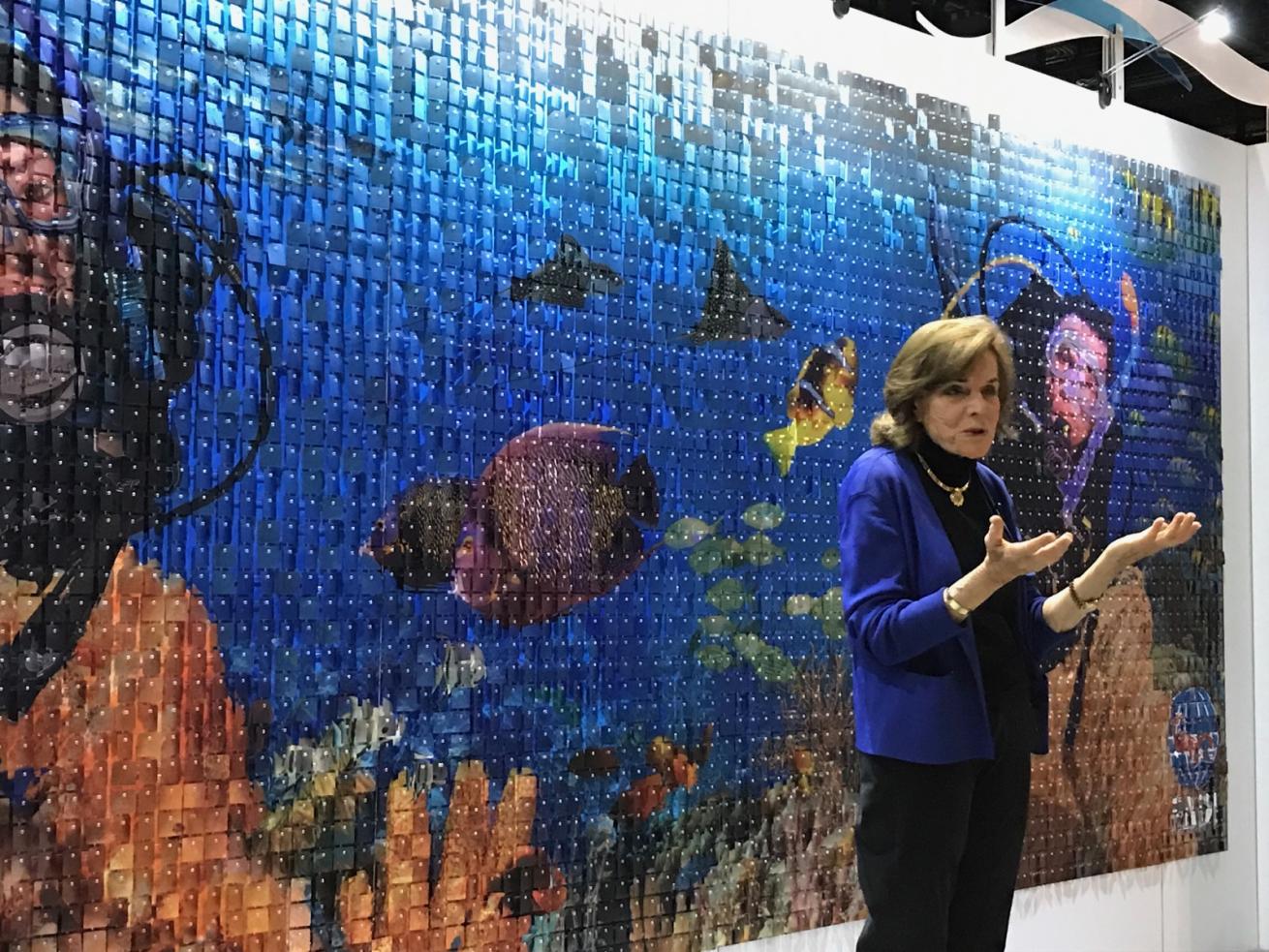 sylvia earle dema