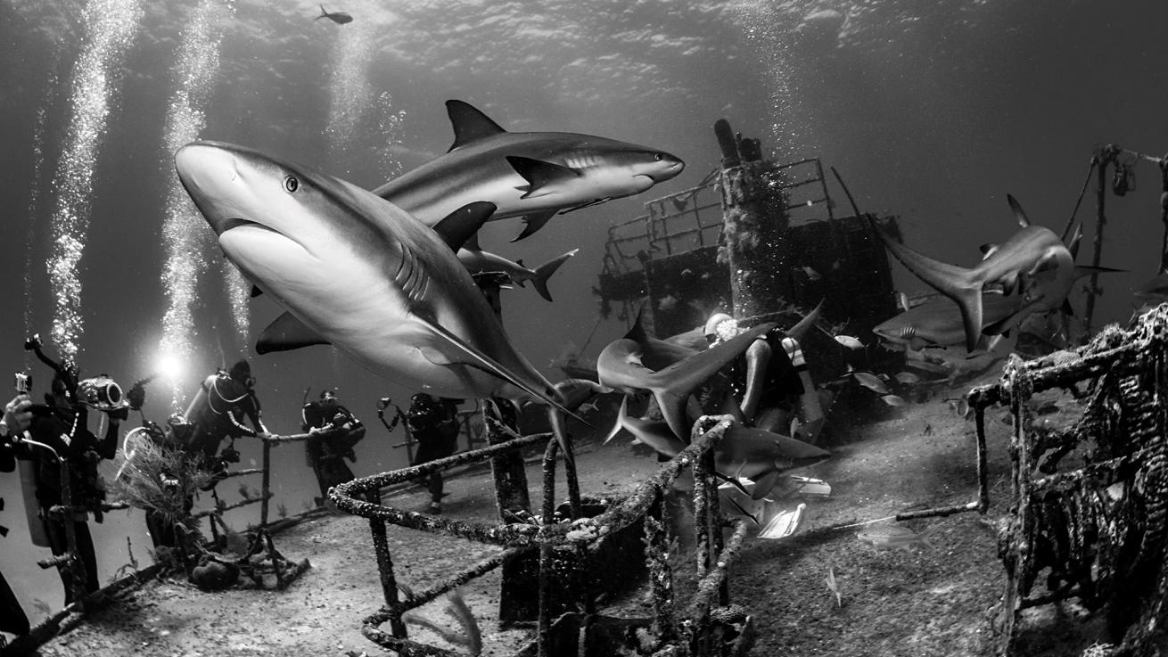 Shipwreck, Nassau, Bahamas