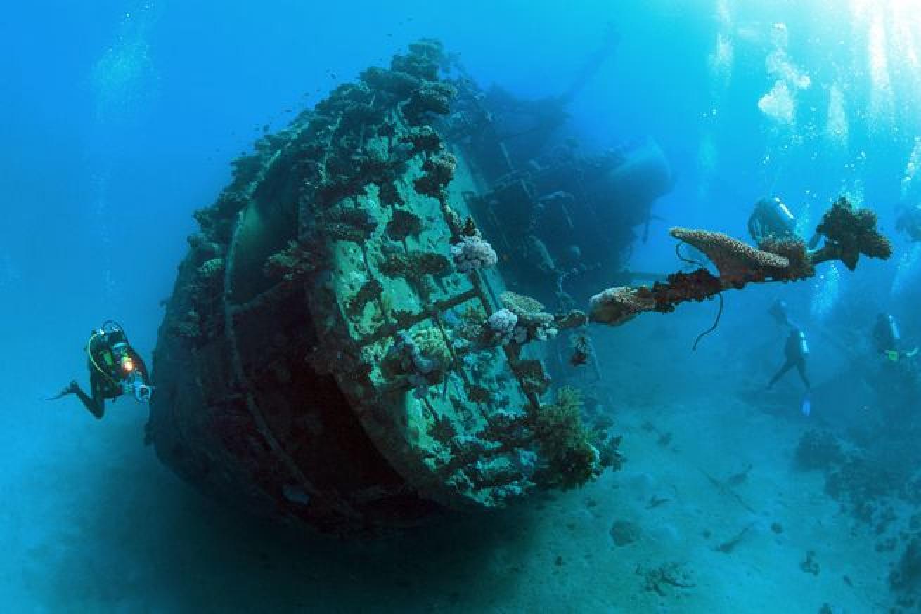 red sea diving
