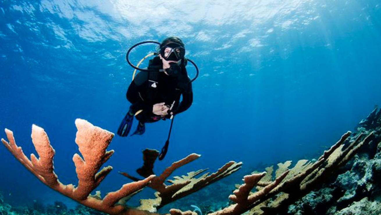 scuba diving myths