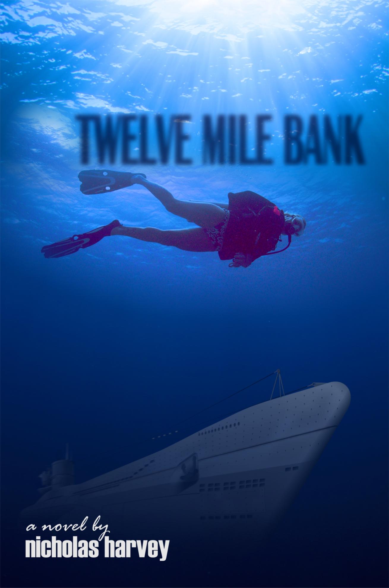 Twelve Mile Bank novel