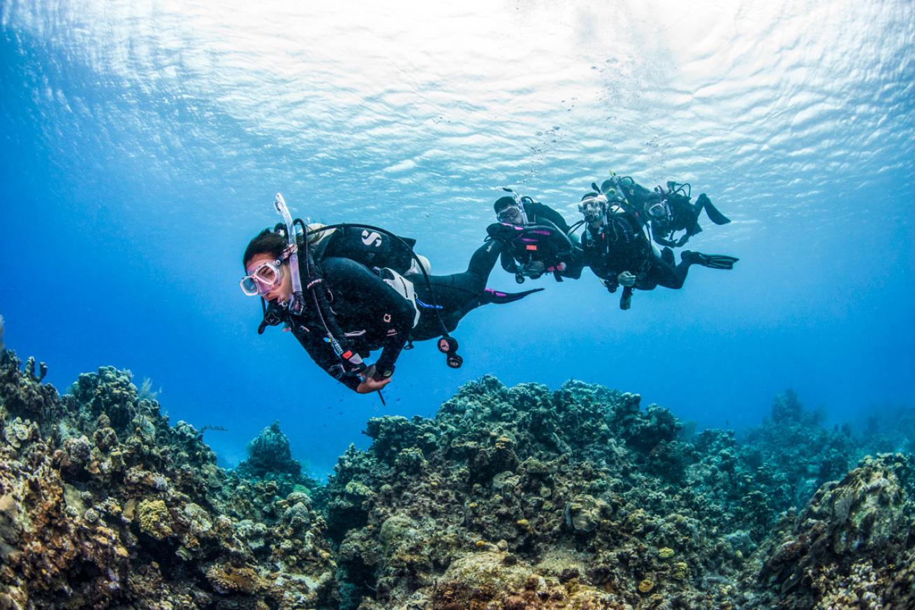 scuba divers underwater