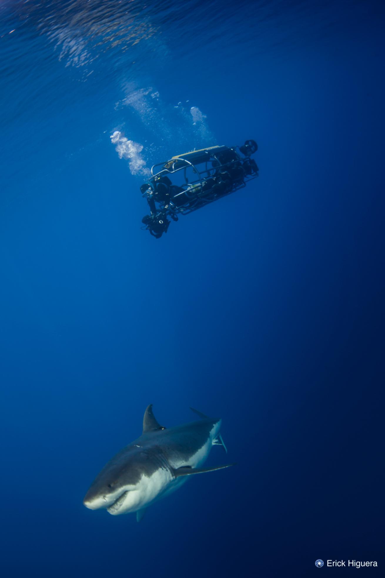 Self Propelled Shark Cage