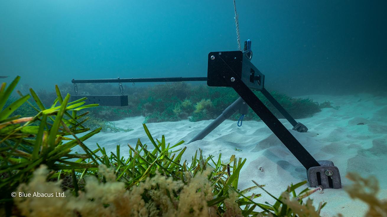 Camera on the bottom of the ocean.
