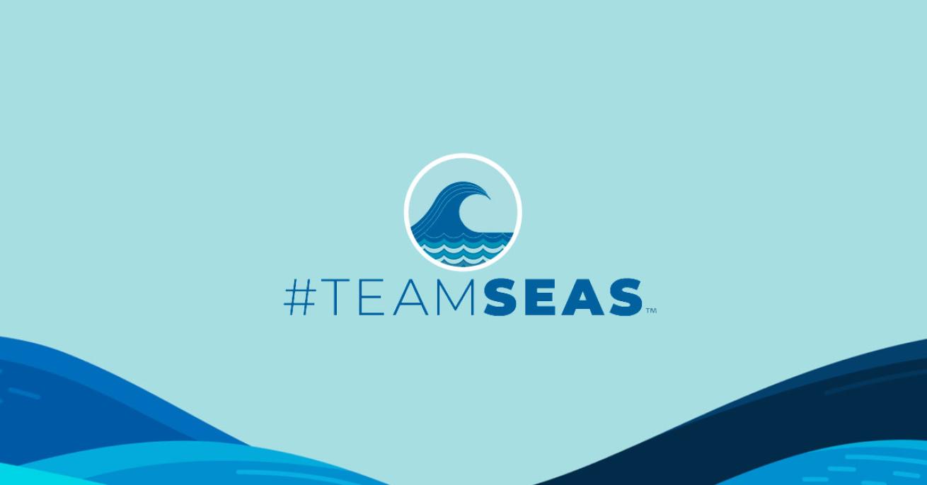 Team Seas