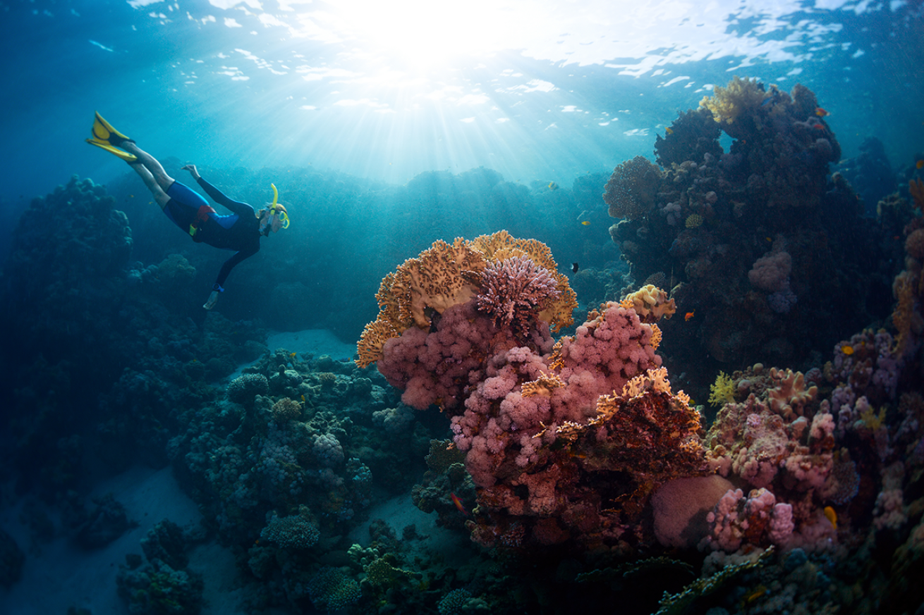 Sun beaming down on a coral reef