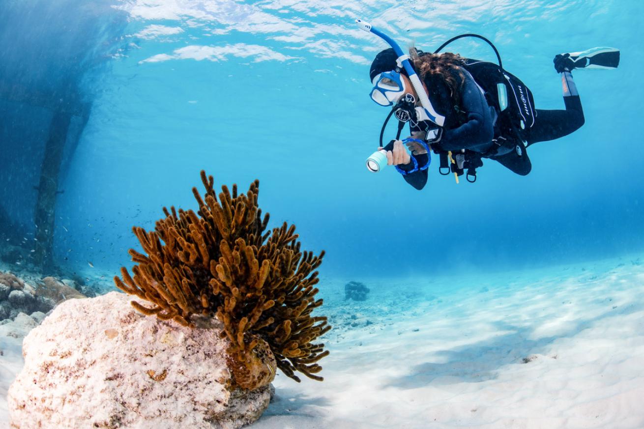 PADI Club trip