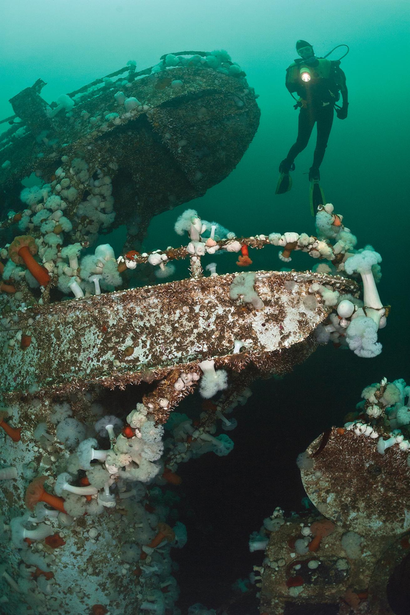 HMCS Saskatchewan