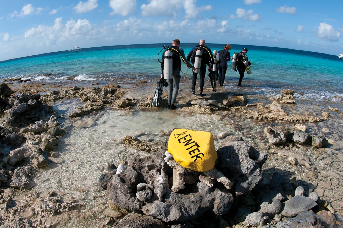 best shore diving in Bonaire