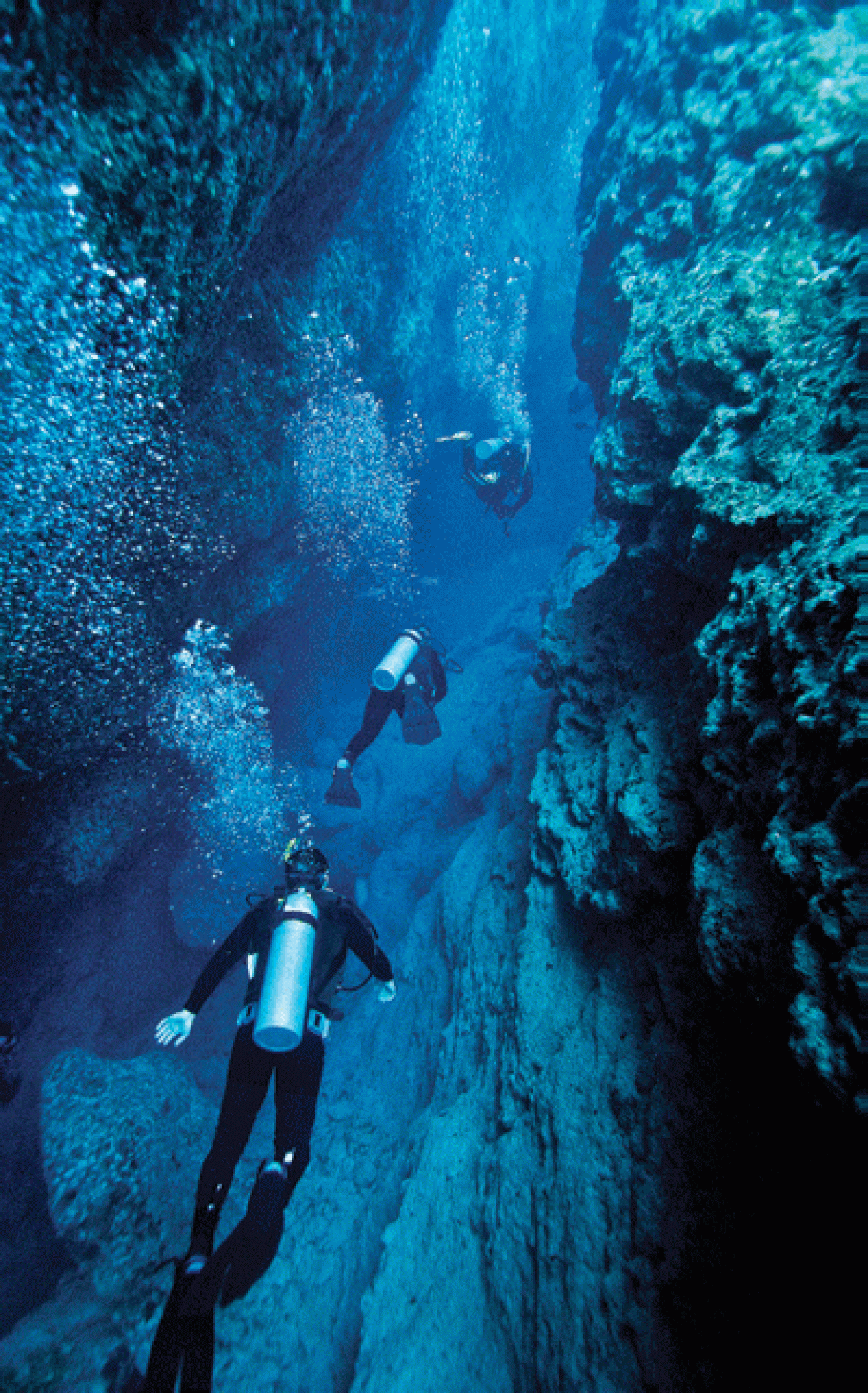 scuba diving blue holes in bahamas