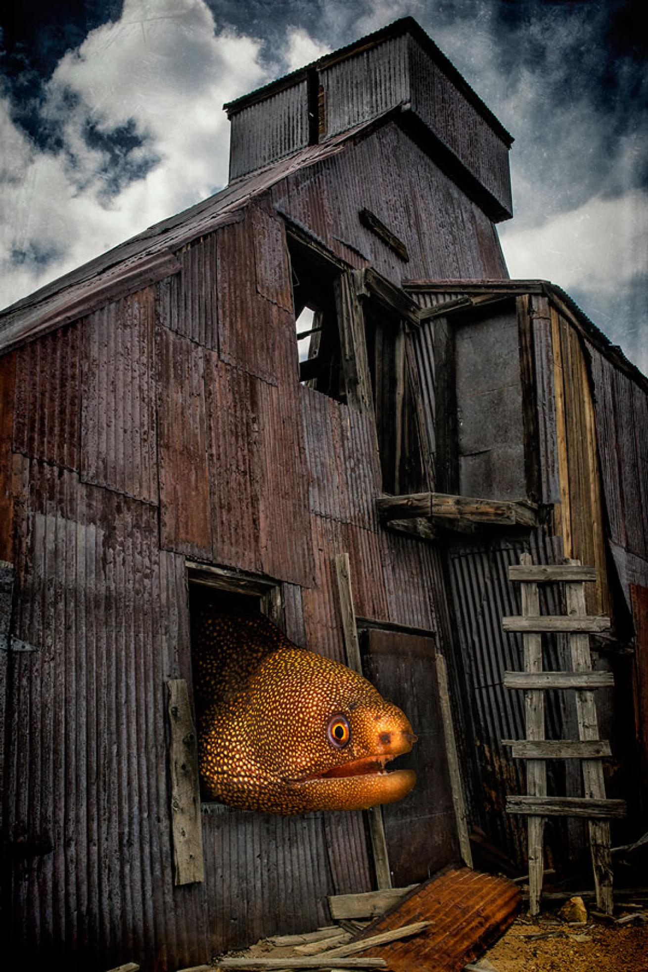 underwater conceptual photography