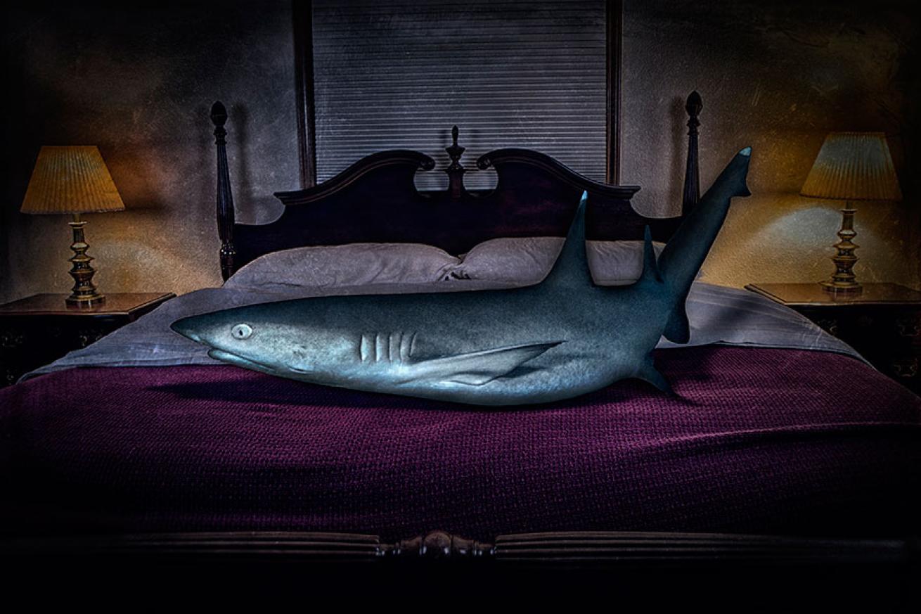 underwater conceptual photography