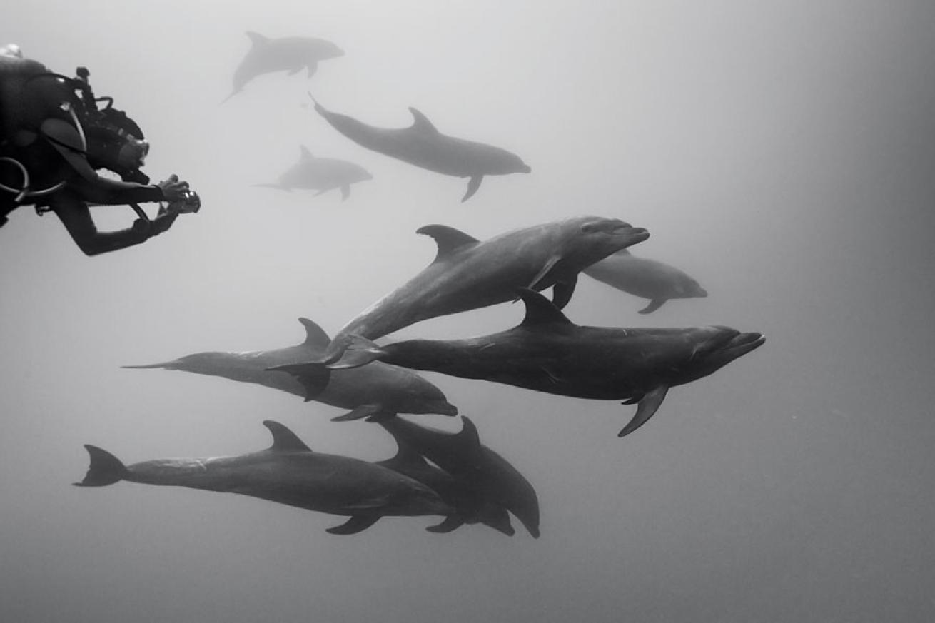 underwater camera diving