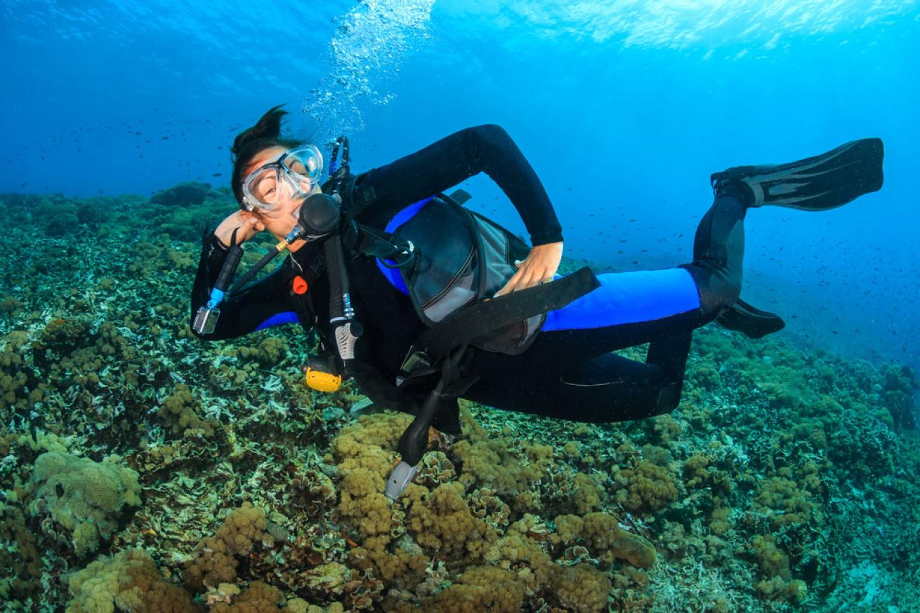 Smiling Diver