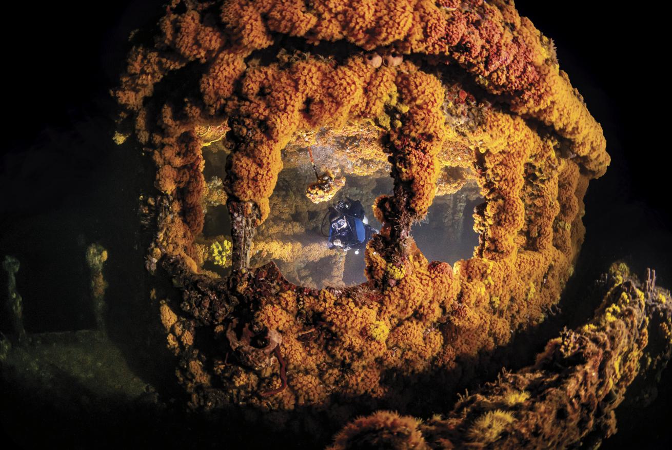 diver swims in the wheelhouse of the Captain Dan wreck off Pompano Beach Florida