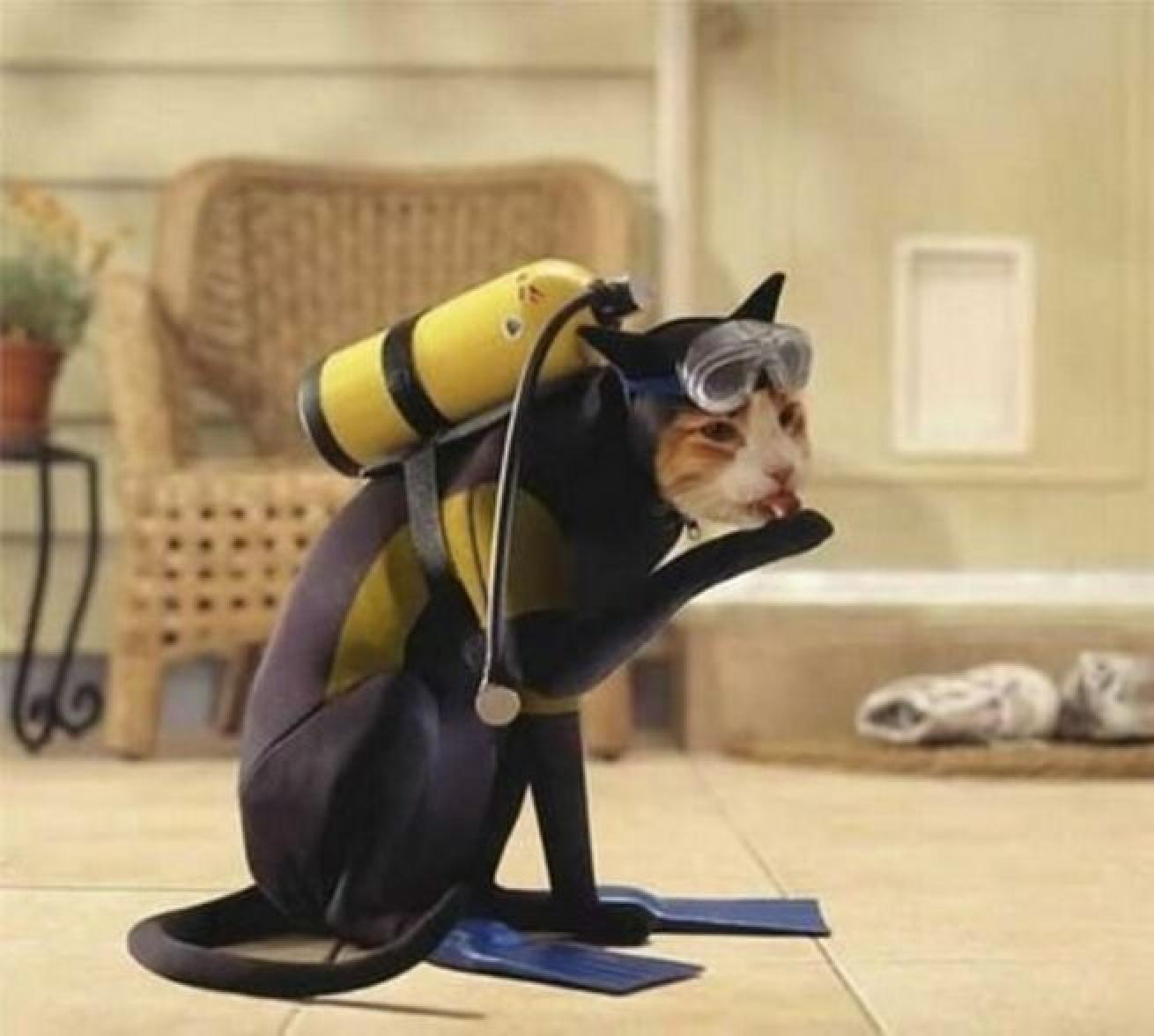 Cat Scuba Diver Halloween Costume