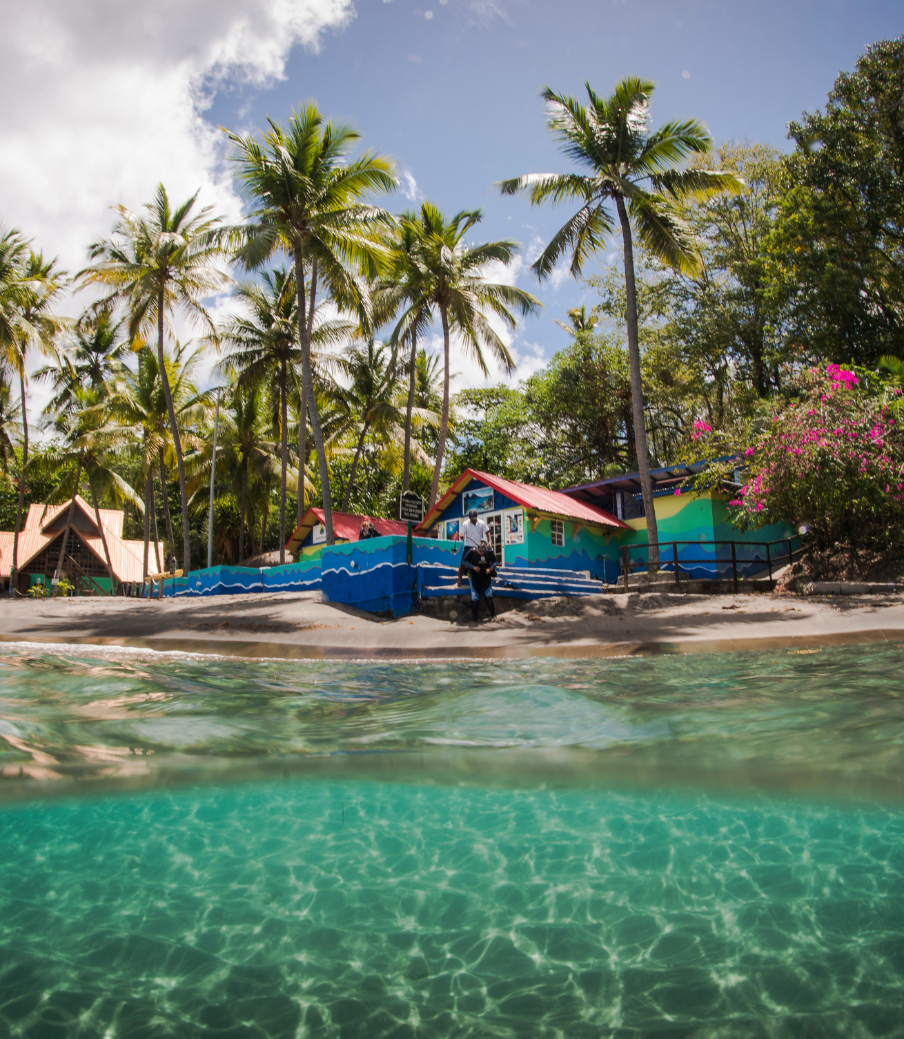 A dive center on a beach with palm trees and a body of water