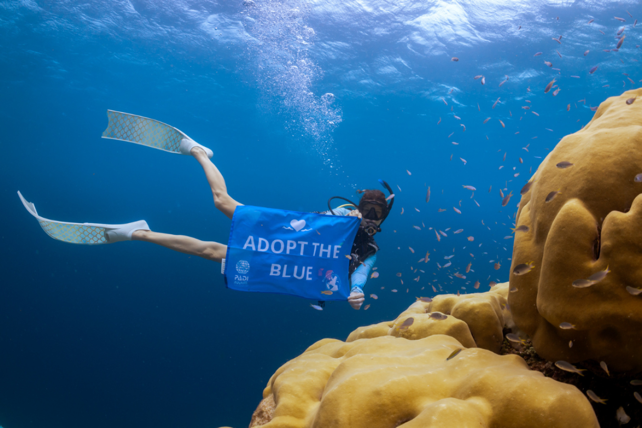 A person in a scuba mask and fins underwater holding a flag