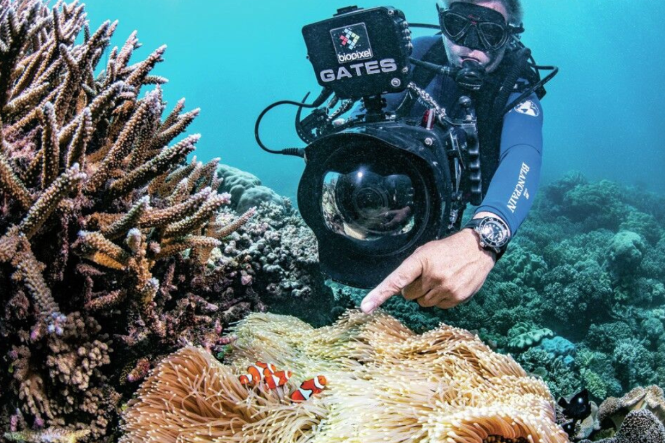 A person in a scuba diving suit with camera pointing at clown fish and anemones