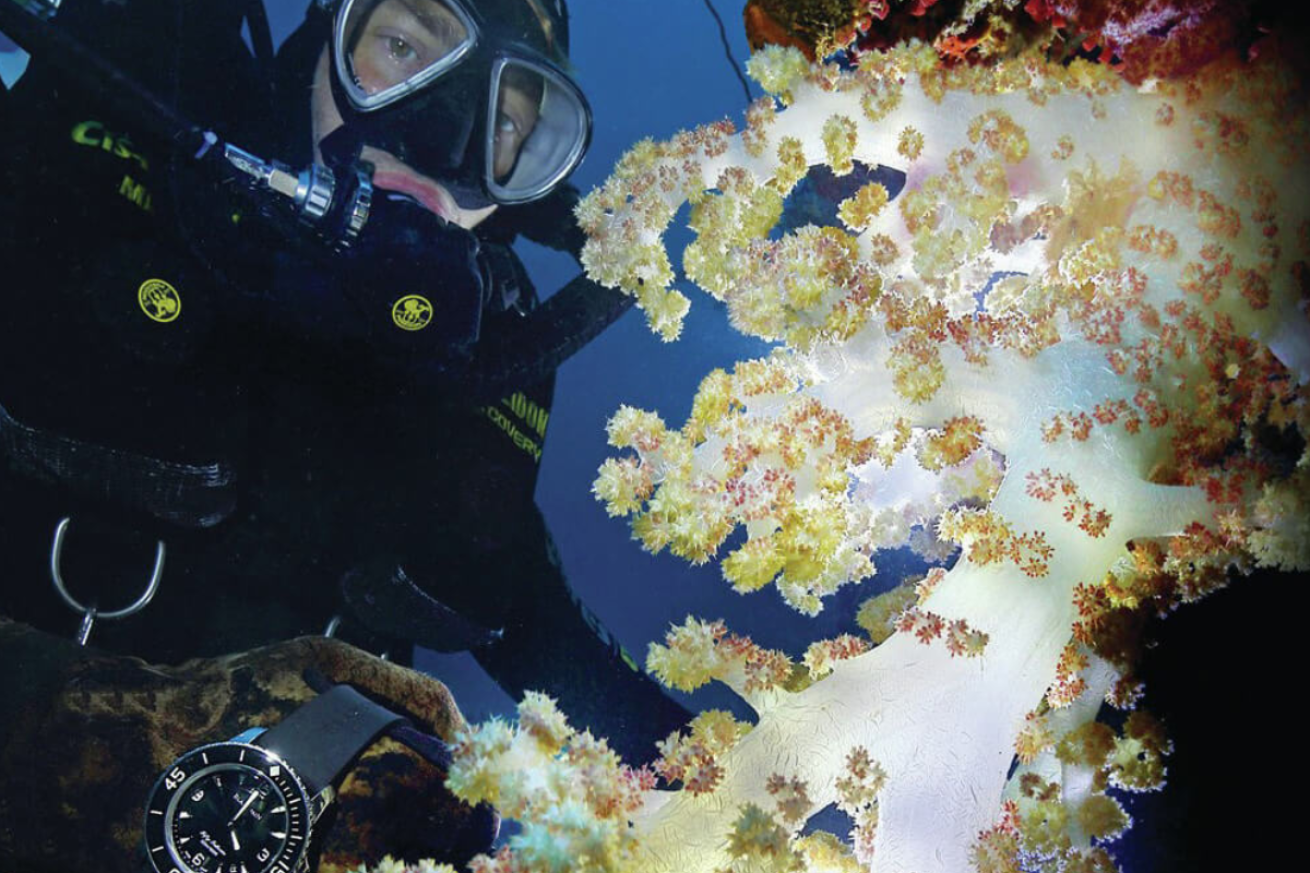 Scuba diver with coral