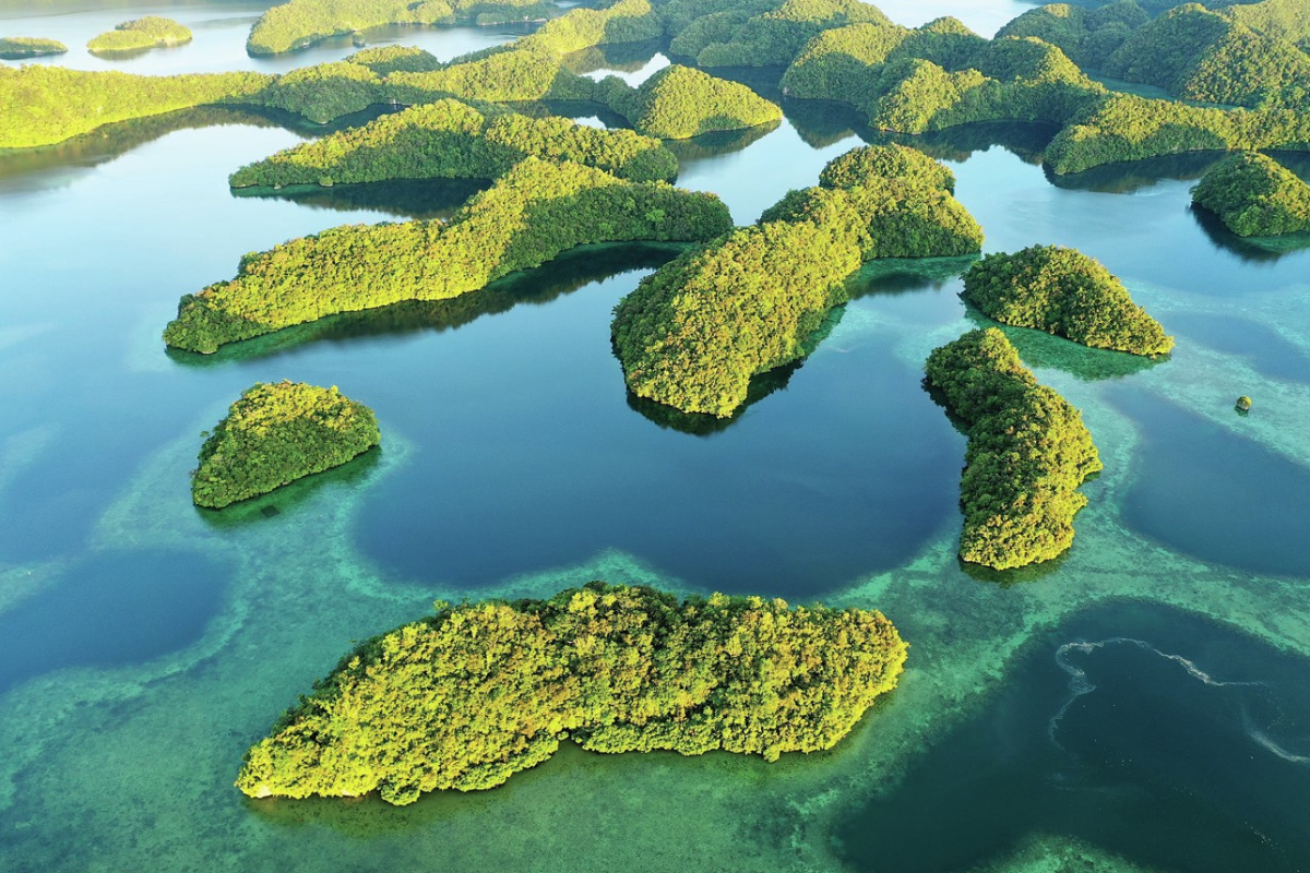 Aerial view of islands in water