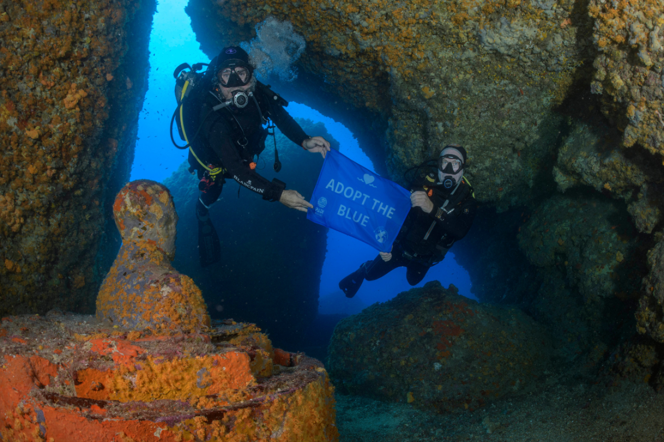 Scuba divers holding a flag under water