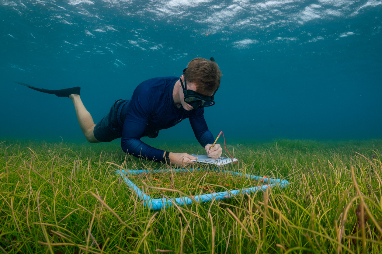 A person in a diving suit writing on a tablet under water