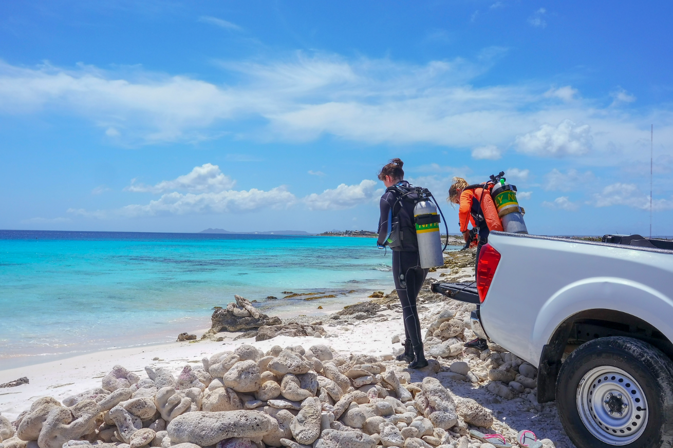 A couple of people standing next to a truck on a beach