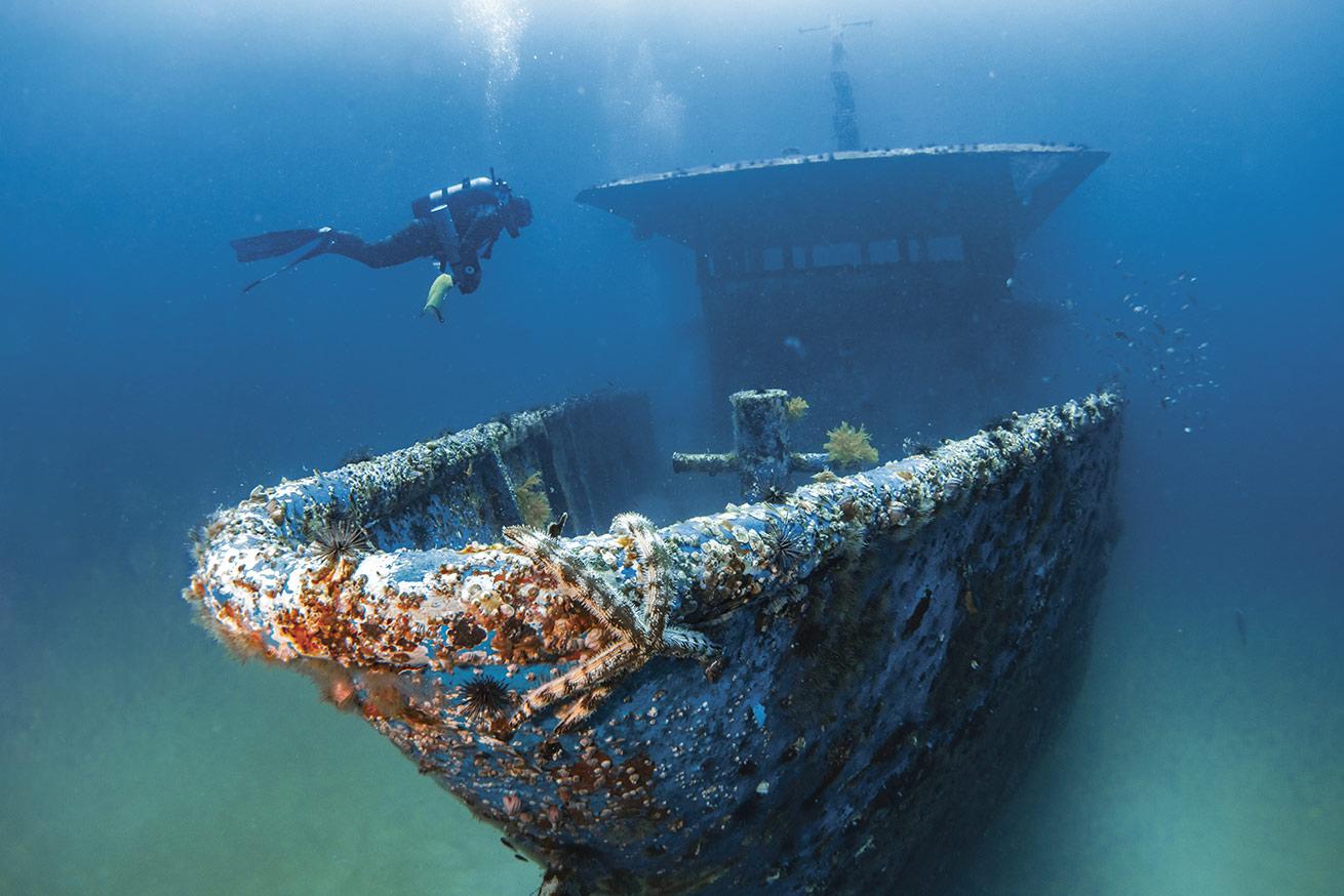 A diver hovers over the RMS Atlantis in Destin-Fort Walton Beach, Florida.