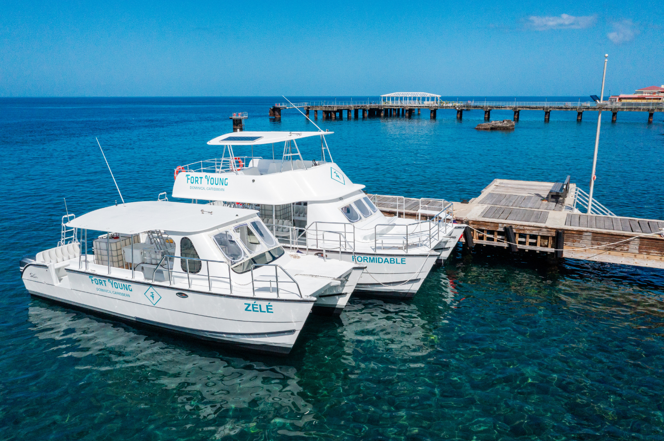 Two dive boats on the water