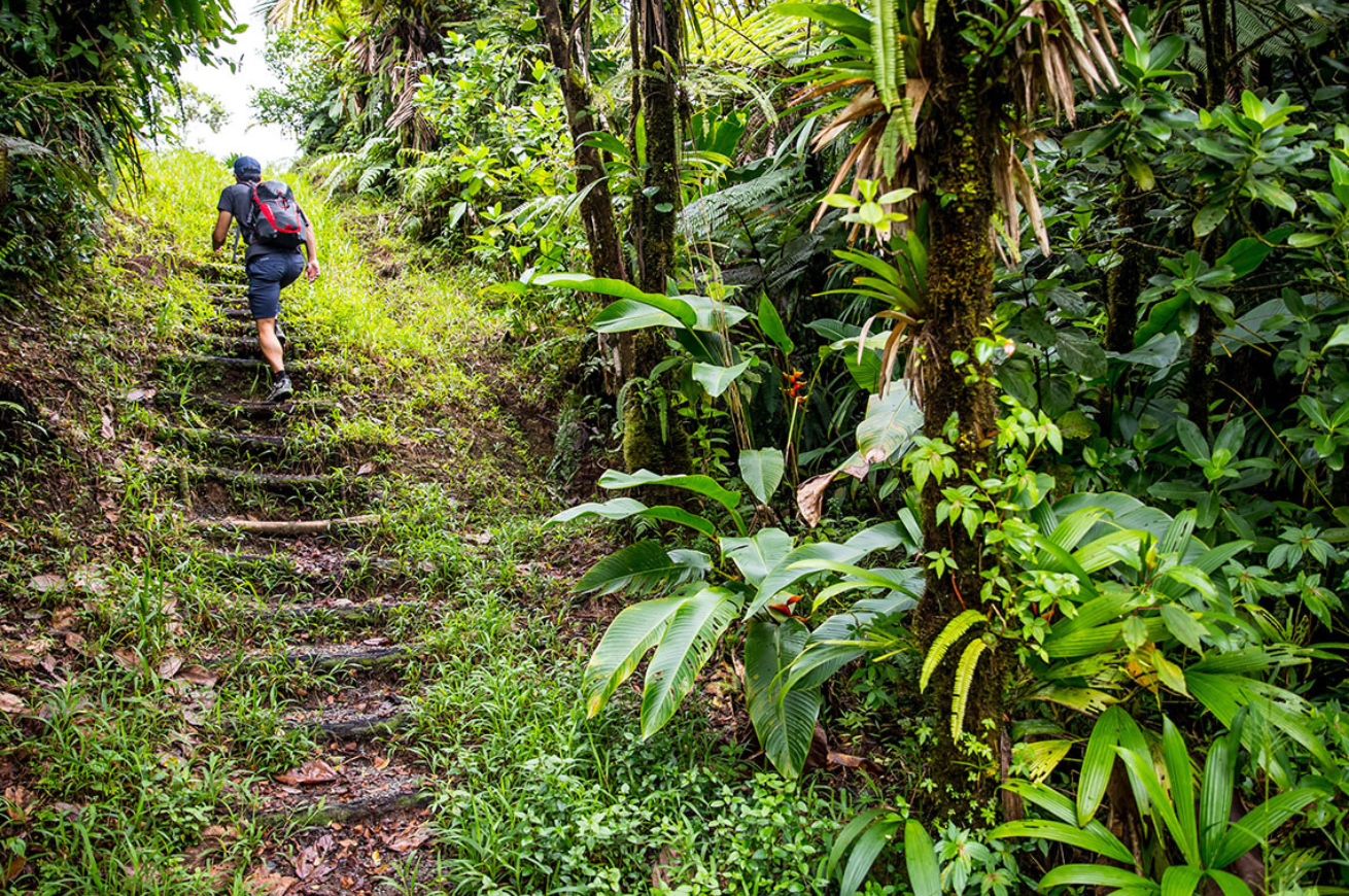 Person hiking