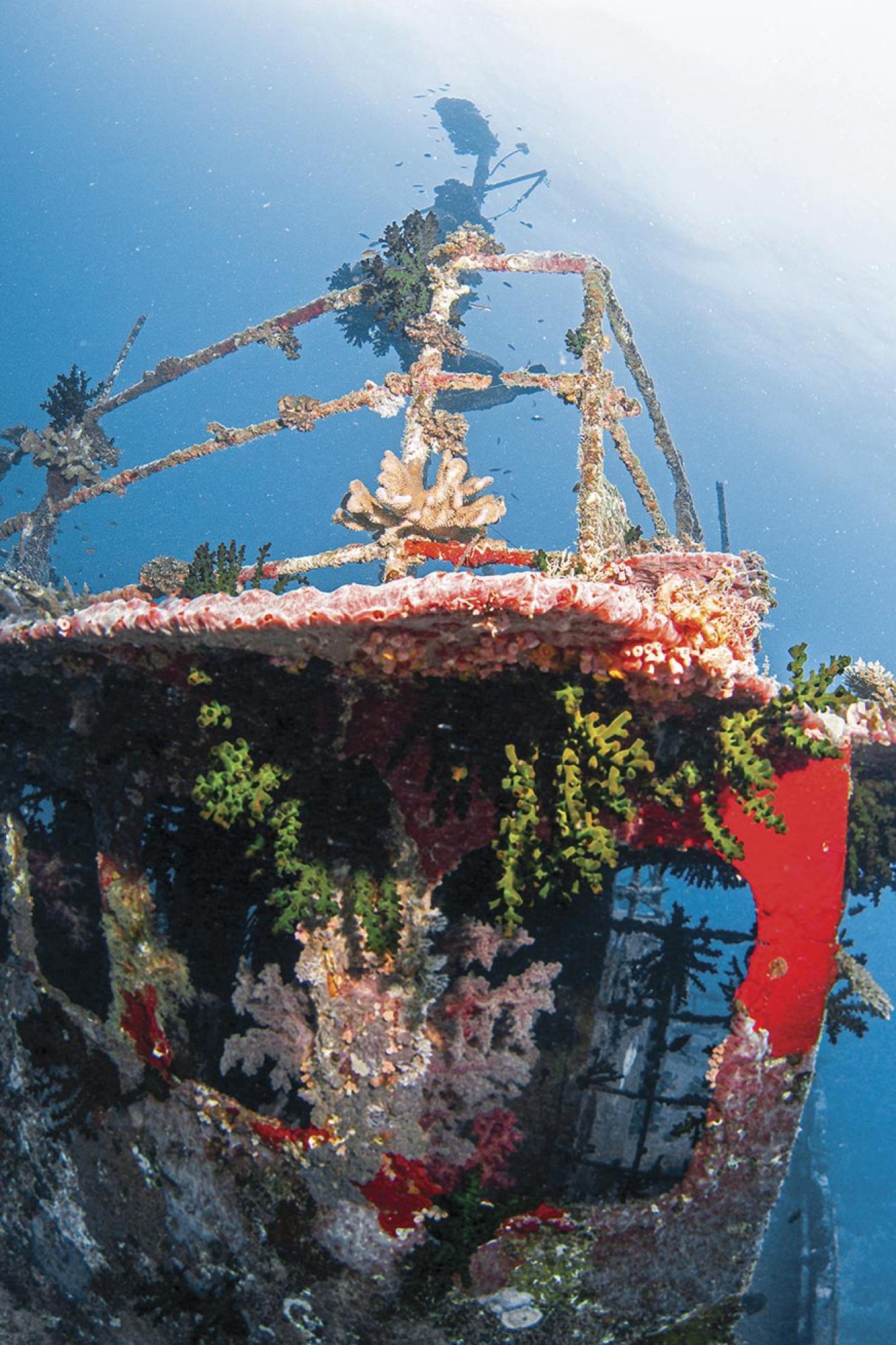 The wrecks of Beqa Lagoon, like this one at Joe’s Best dive site, are well worth a visit.