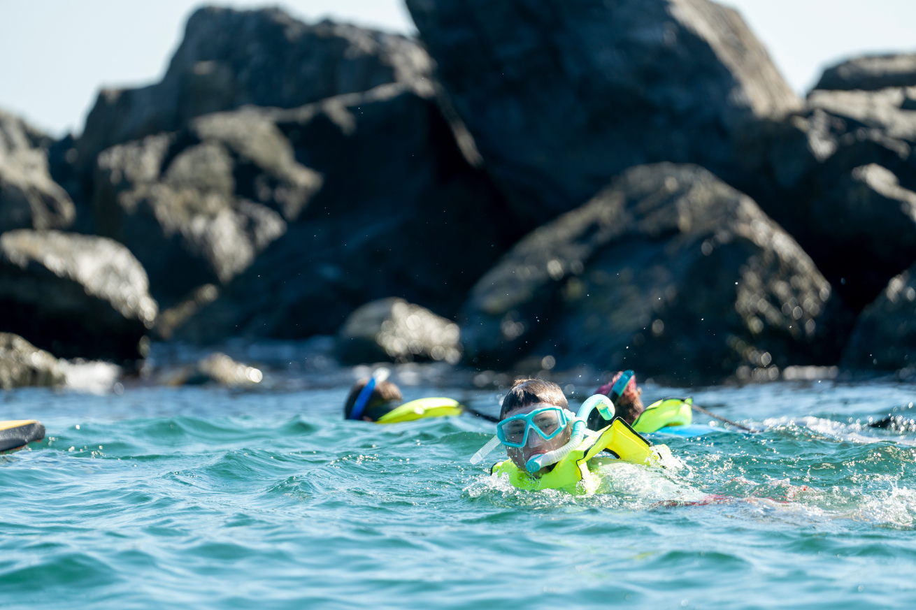 A group of people swimming in the water