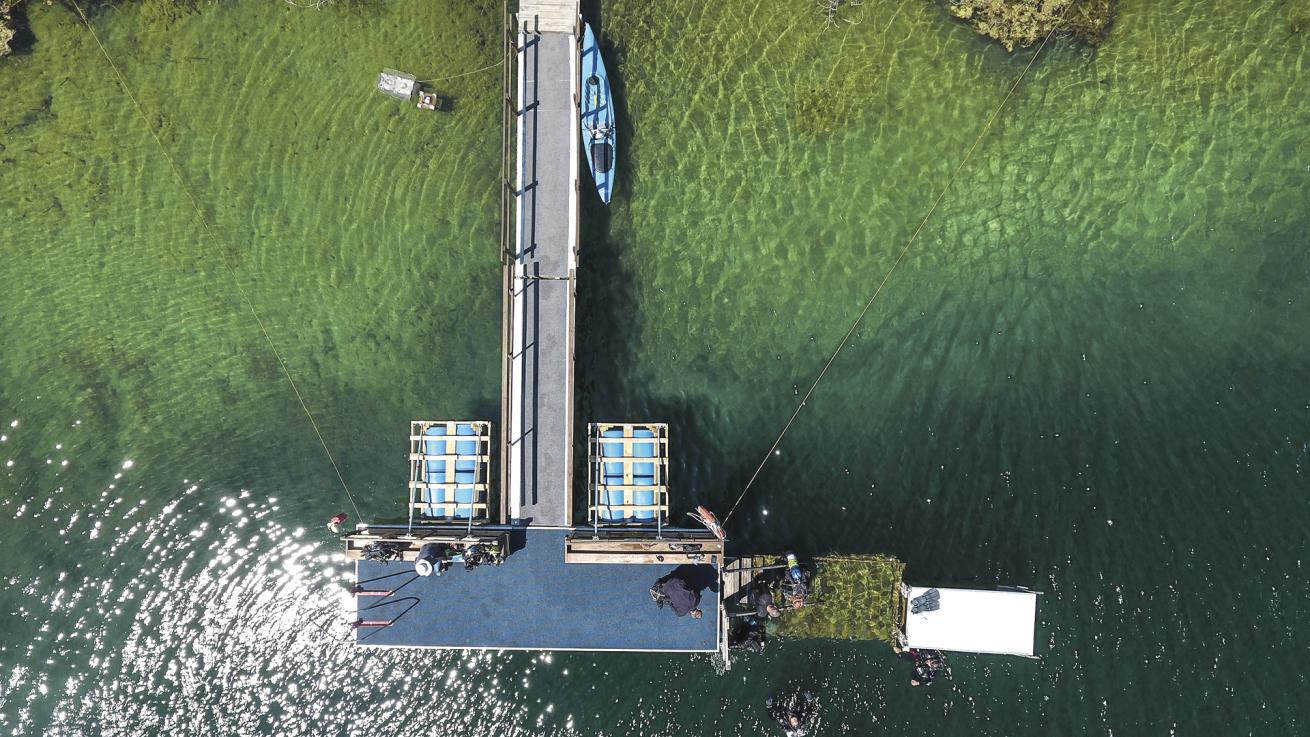 An aerial view of the property’s main dock.