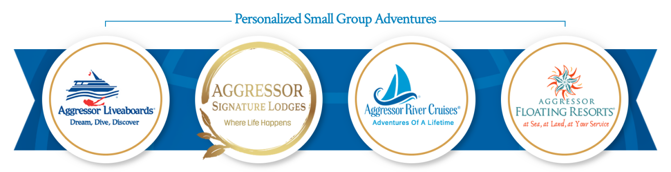4 Icons with Aggressor logos