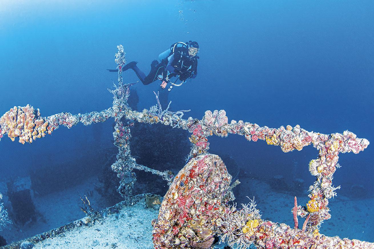 Corals encrust nearly every inch of the massive Spiegel Grove wreck.