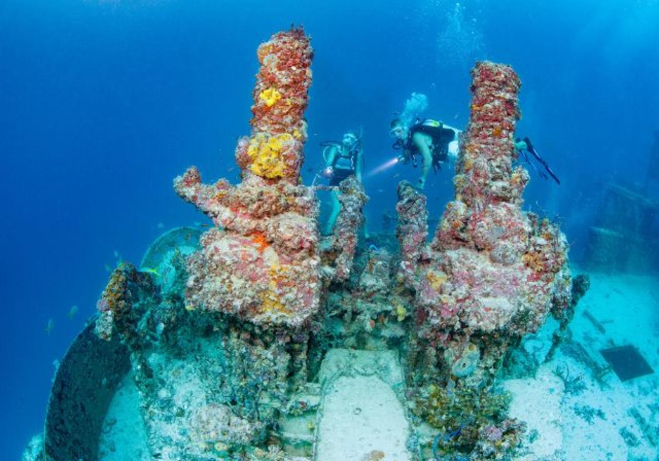 Scuba divers under water