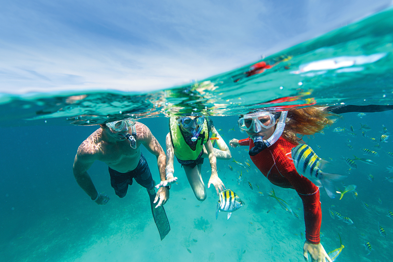 A group of people under water with fish