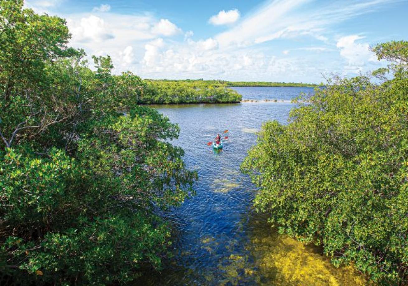 A person in a canoe in a river