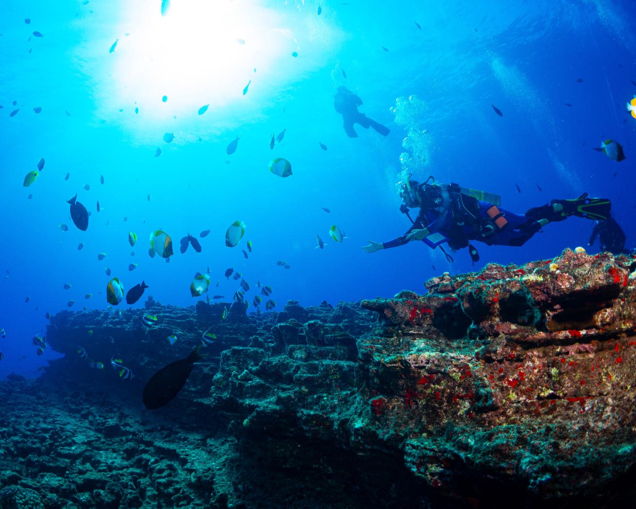 Divers in Kauai