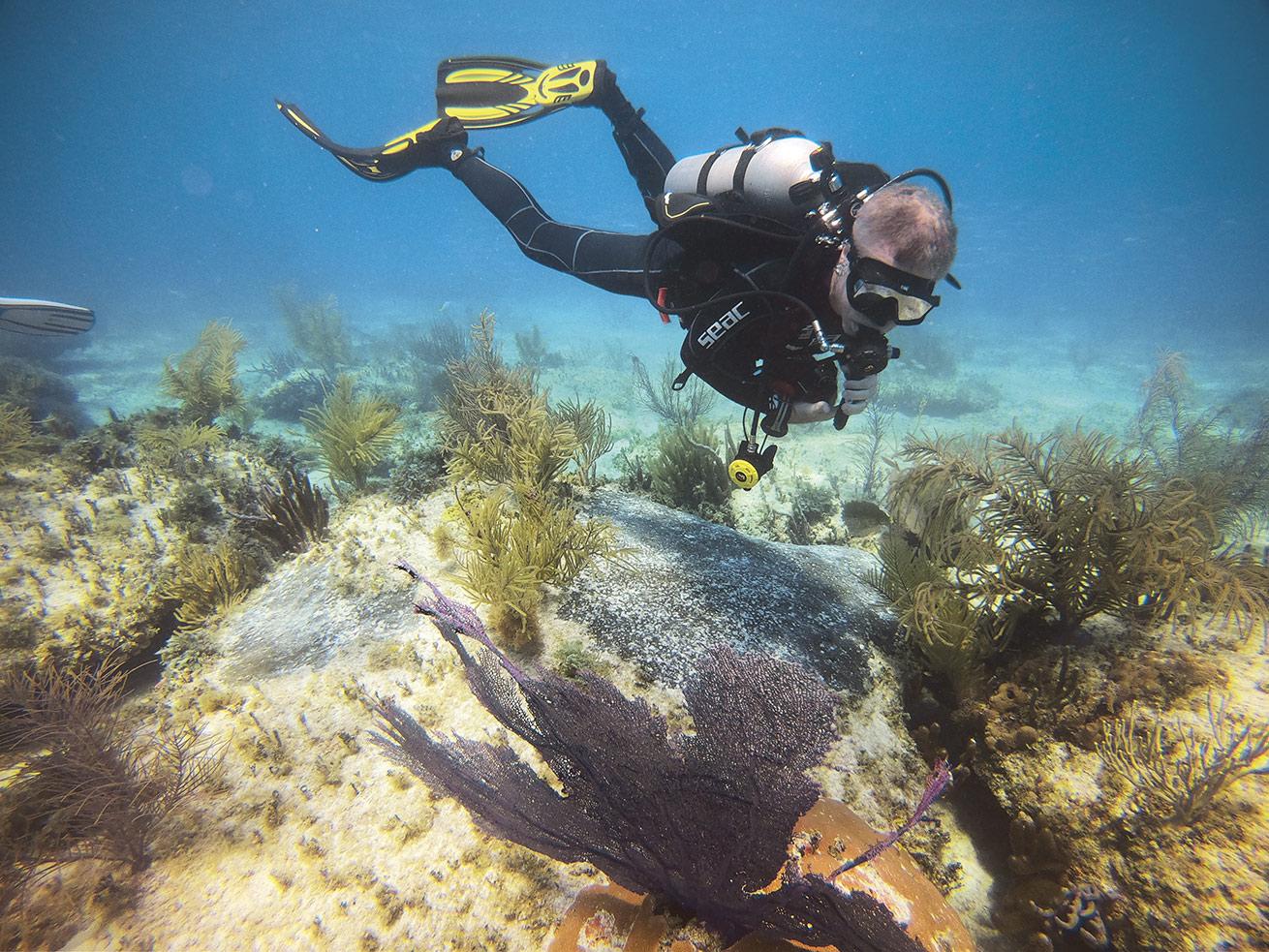 Bob Huber first learned to dive in his 20s, but when his daughter became certified, his passion for diving was reignited.