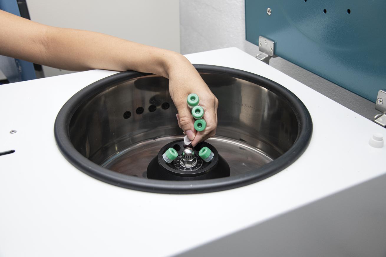Blood samples are loaded into the centrifuge.