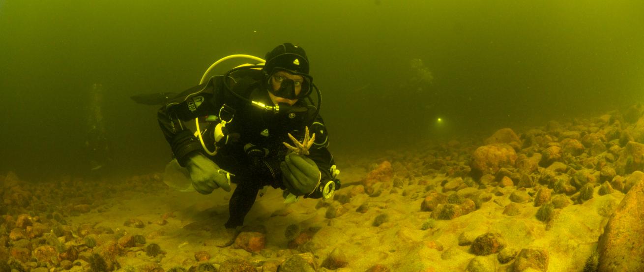 Dr. Jennie Knopp collecting organisms in 41 degree F water near Spencer Island for DNA barcoding, while working in partnership with Eeyou Cree conservation leaders and National Geographic Pristine Seas