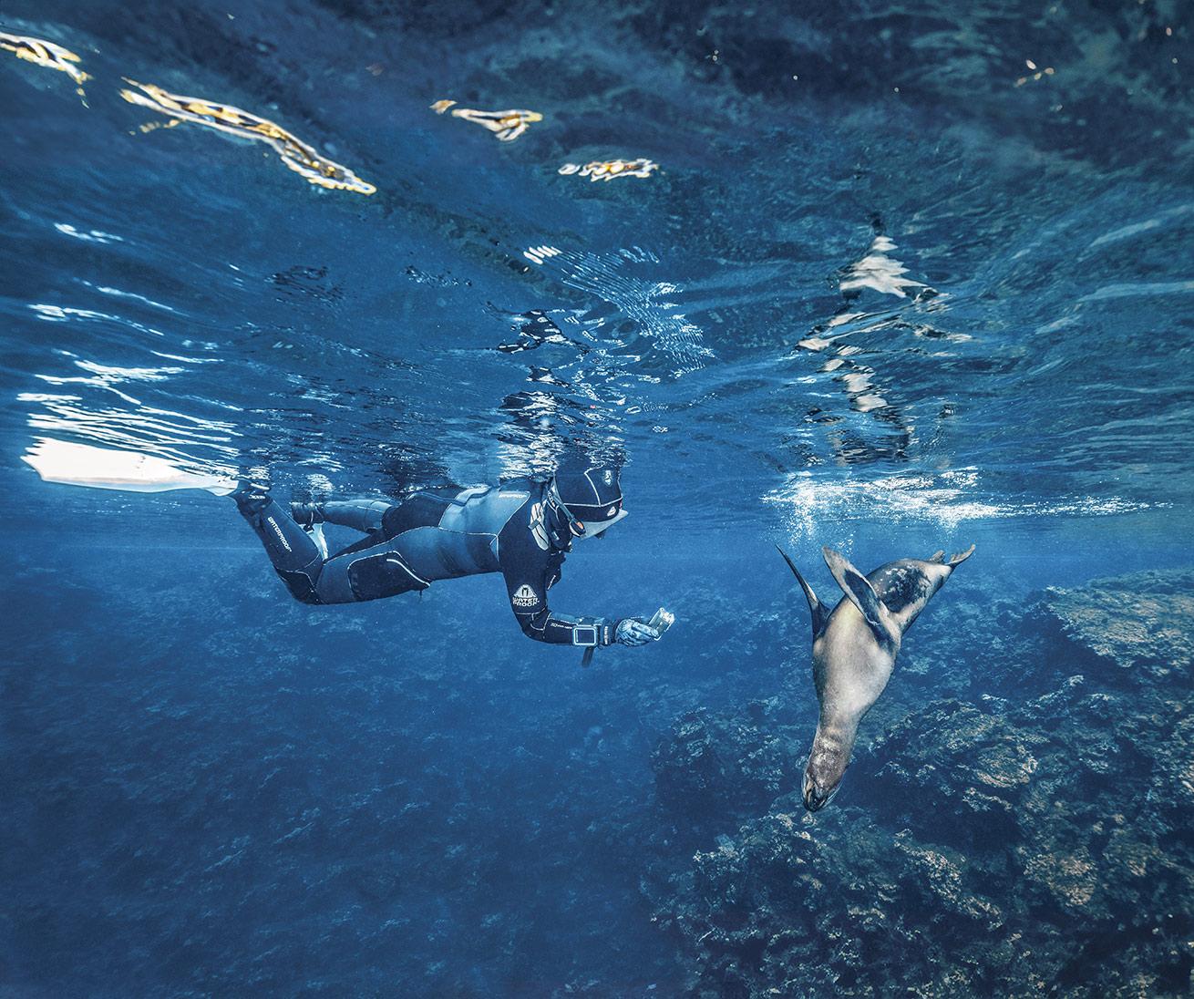Even outside of diving, opportunities to interact with local marine life abound.