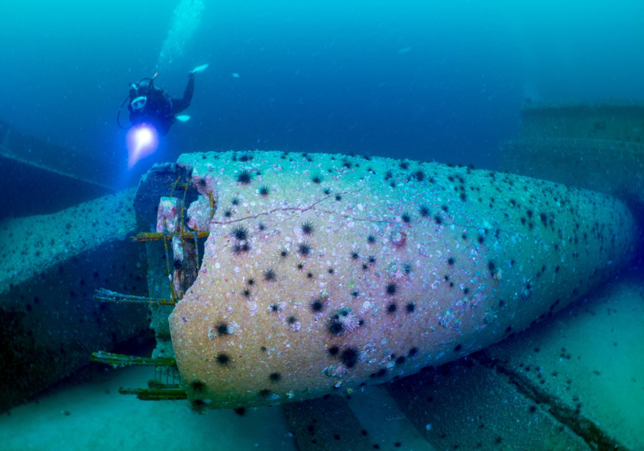 A diver swimming near a large piece of underwater ship