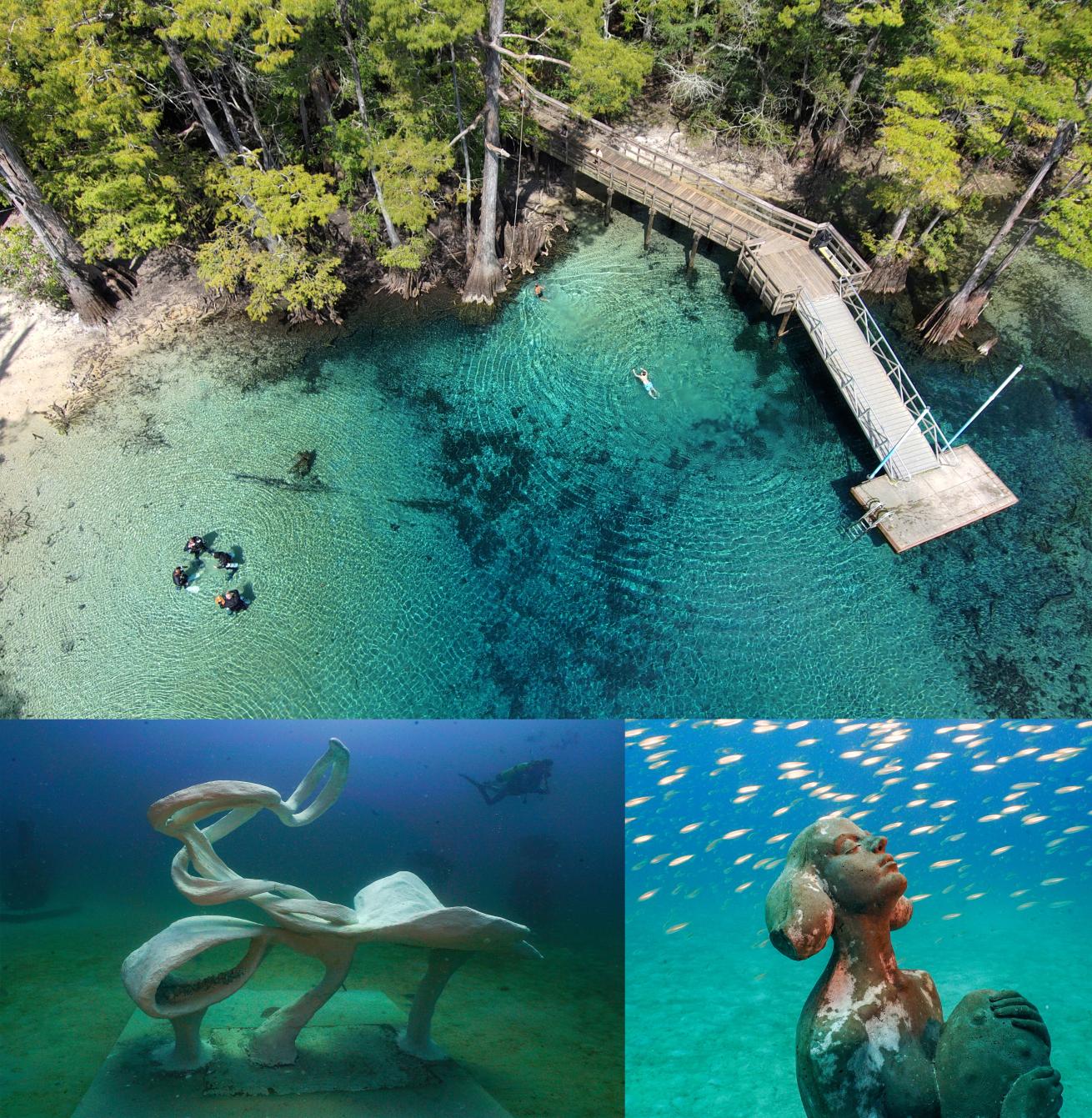 Crystal-clear water at Morrison Springs; a sculpture at the Underwater Museum of Art by Davide Galbiati titled “The Seed and the Sea”; “Bloom Baby Bloom” by Florida artist Brit Deslonde, also at the Underwa- ter Museum of Art