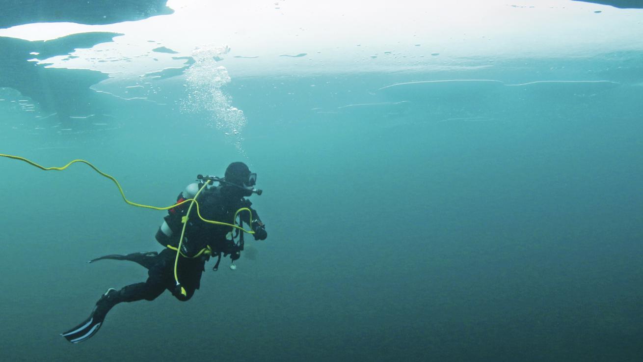 A diver plunges beneath the ice.