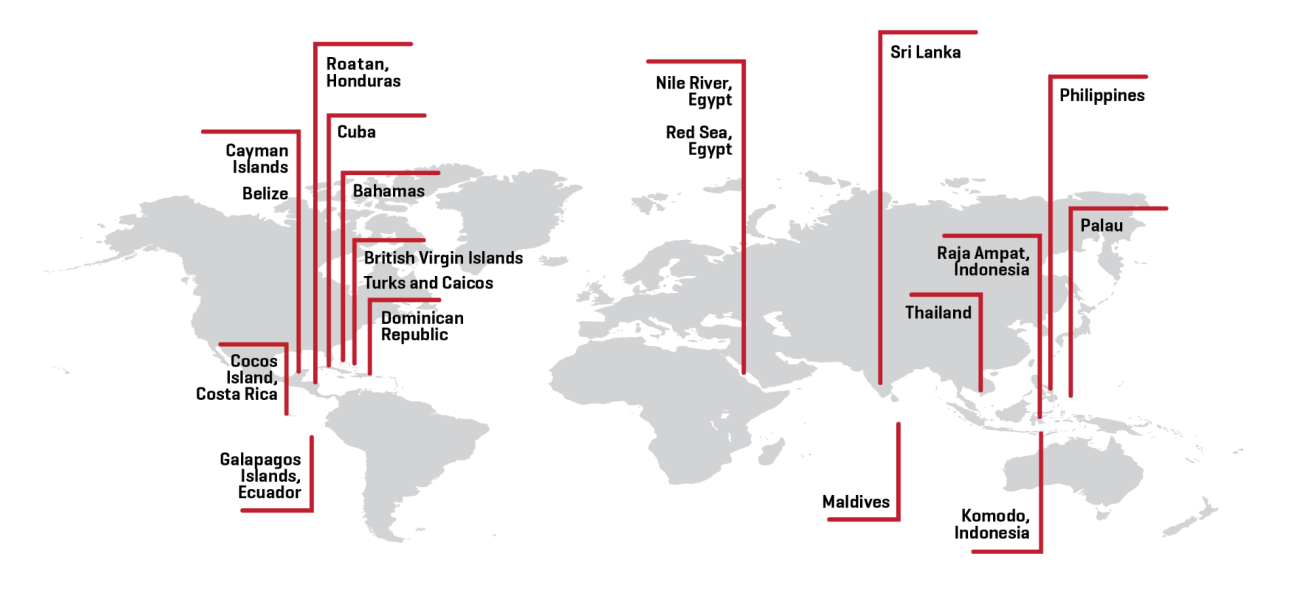 World map